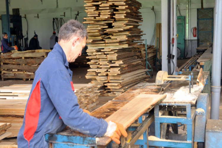 You are currently viewing Olakšati zapošljavanje drvoprerađivačima RS po ugledu na obućarsku industriju
